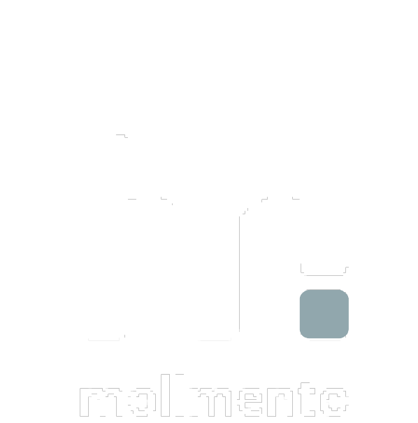 mollmento - Agentur für Events & Marketing aus Leipzig
