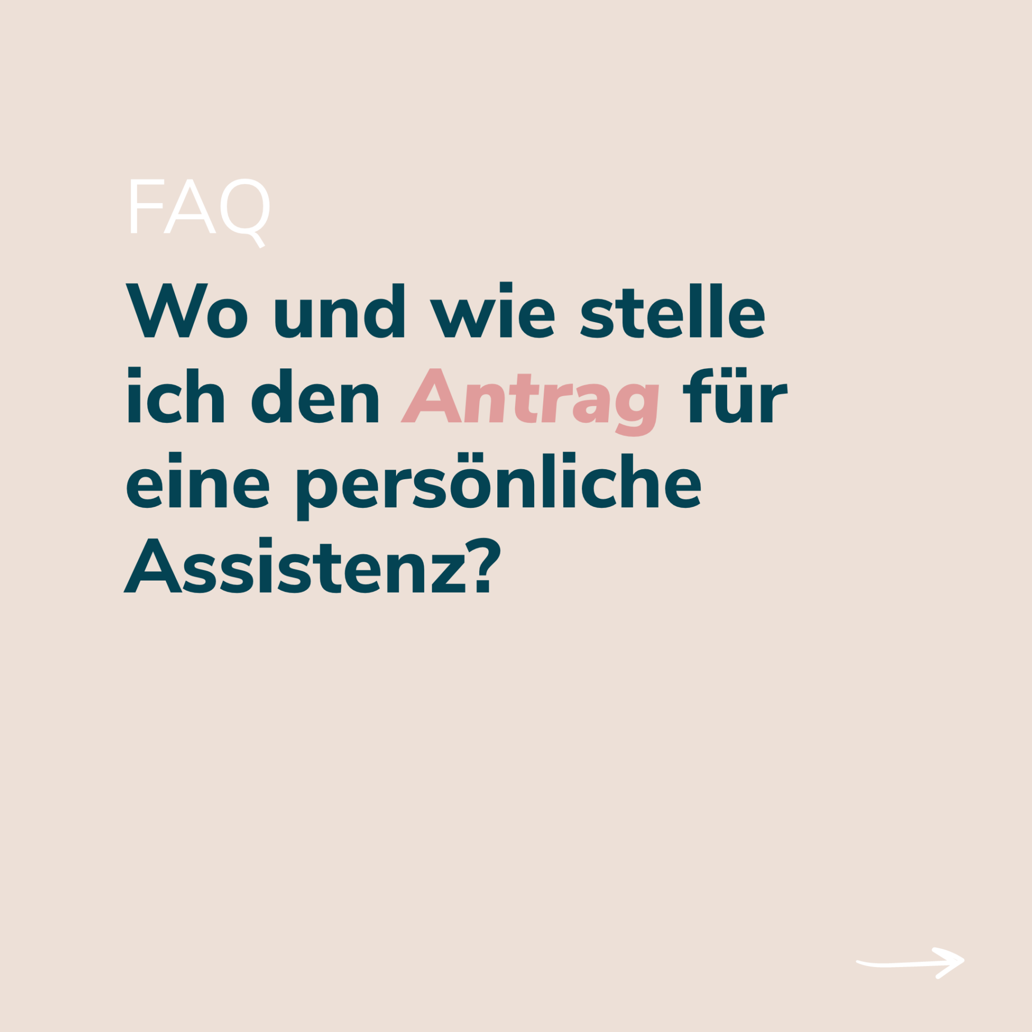 anima - Social Media
