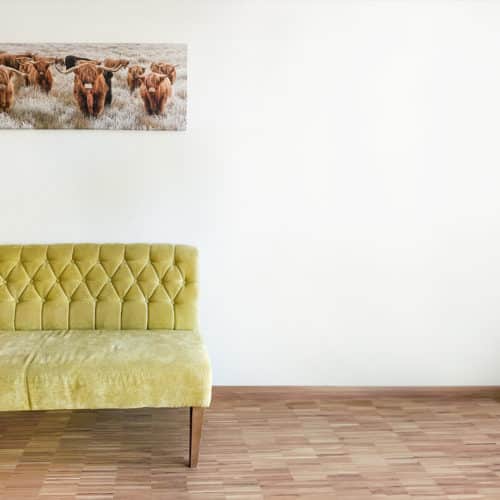 Anschnitt einer gelben Couch vor einer Leinwand mit einem Natur- bzw. Tiermotiv im Büro von der Leipziger Marketing- und Eventagentur mollmento