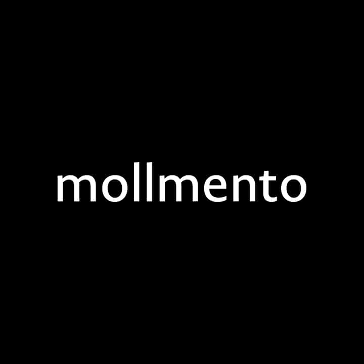Bild von der Webseite von mollmento GmbH – Marketingagentur und Eventagentur in Leipzig