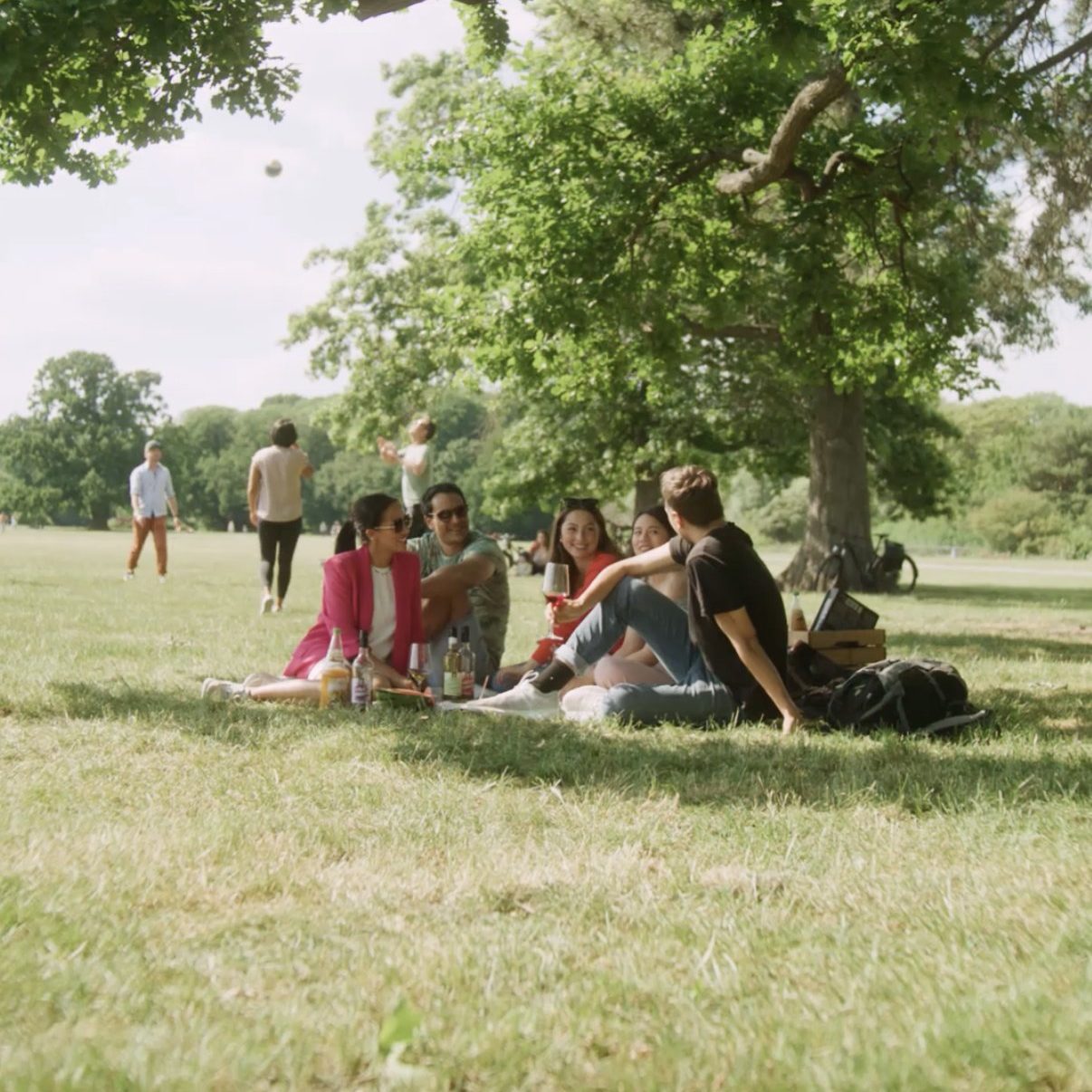 Sachsenobst - Kampagne - Marketingagentur Leipzig